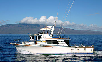 50' Delta Marine